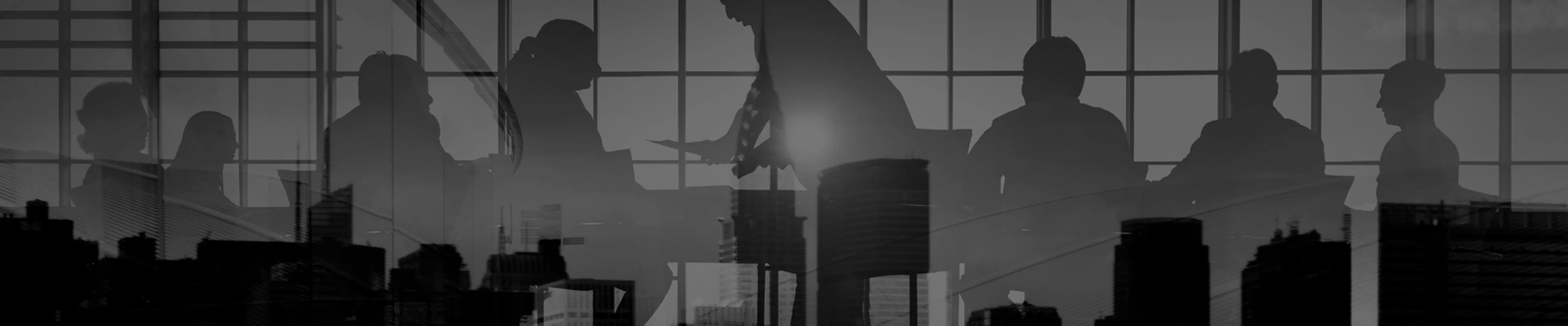 About The Lien Project